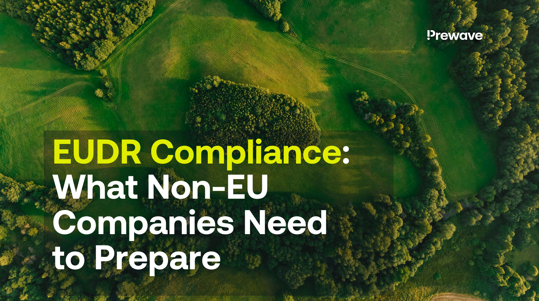 EUDR Compliance: What Non-EU Companies Need to Prepare