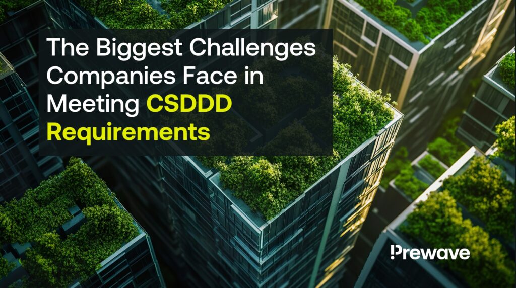 The Biggest Challenges Companies Face in Meeting CSDDD Requirements.