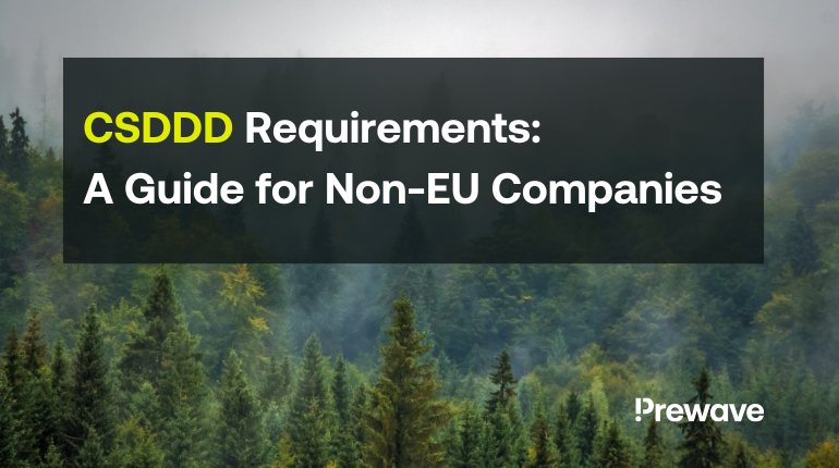 霧に包まれた森の風景に「CSDDDの要件：CSDDD Requirements: A Guide for Non-EU Companies（CSDDDの要件：非EU企業のためのガイド）」と書かれたテキストが、CSDDDの枠組みにおける非EU企業のコンプライアンス義務を強調している。