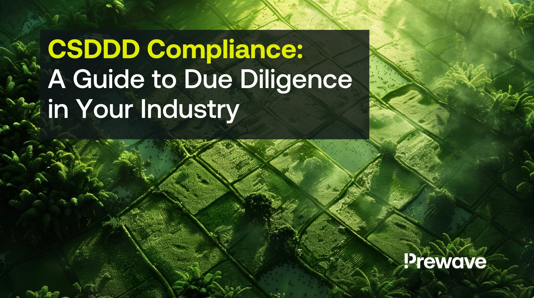 Green fields symbolizing sustainable supply chains with text overlay 'CSDDD Compliance: A Guide to Due Diligence in Your Industry'